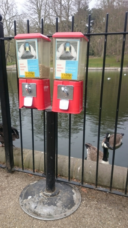 Great idea! For 20p you get a hand full of duck feed - judging by the way the ducks sidled up to me when I approached, they knew the deal!